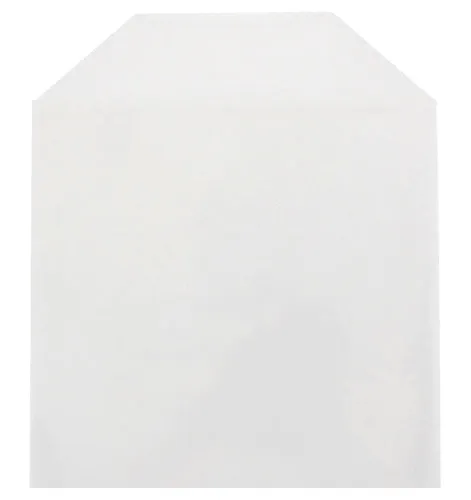 100 CheckOutStore® Clear Storage Pockets (5 x 5 1/8)
