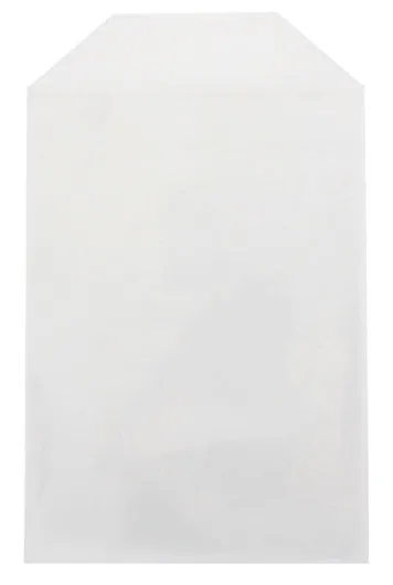 100 CheckOutStore® Clear Storage Pockets (6 3/4 x 9 1/2)
