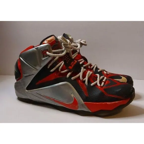 1991 Nike Lebron 12 Special‎ Edition Nike ID 799181 VTG COLLECTABLE SNEAKER #483