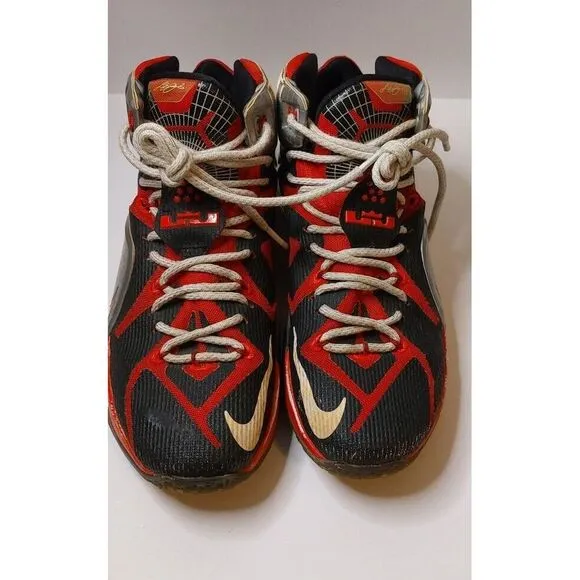 1991 Nike Lebron 12 Special‎ Edition Nike ID 799181 VTG COLLECTABLE SNEAKER #483