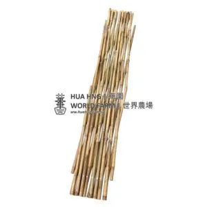 Bamboo Fencing (1.5mH x 2mL) 竹篱笆