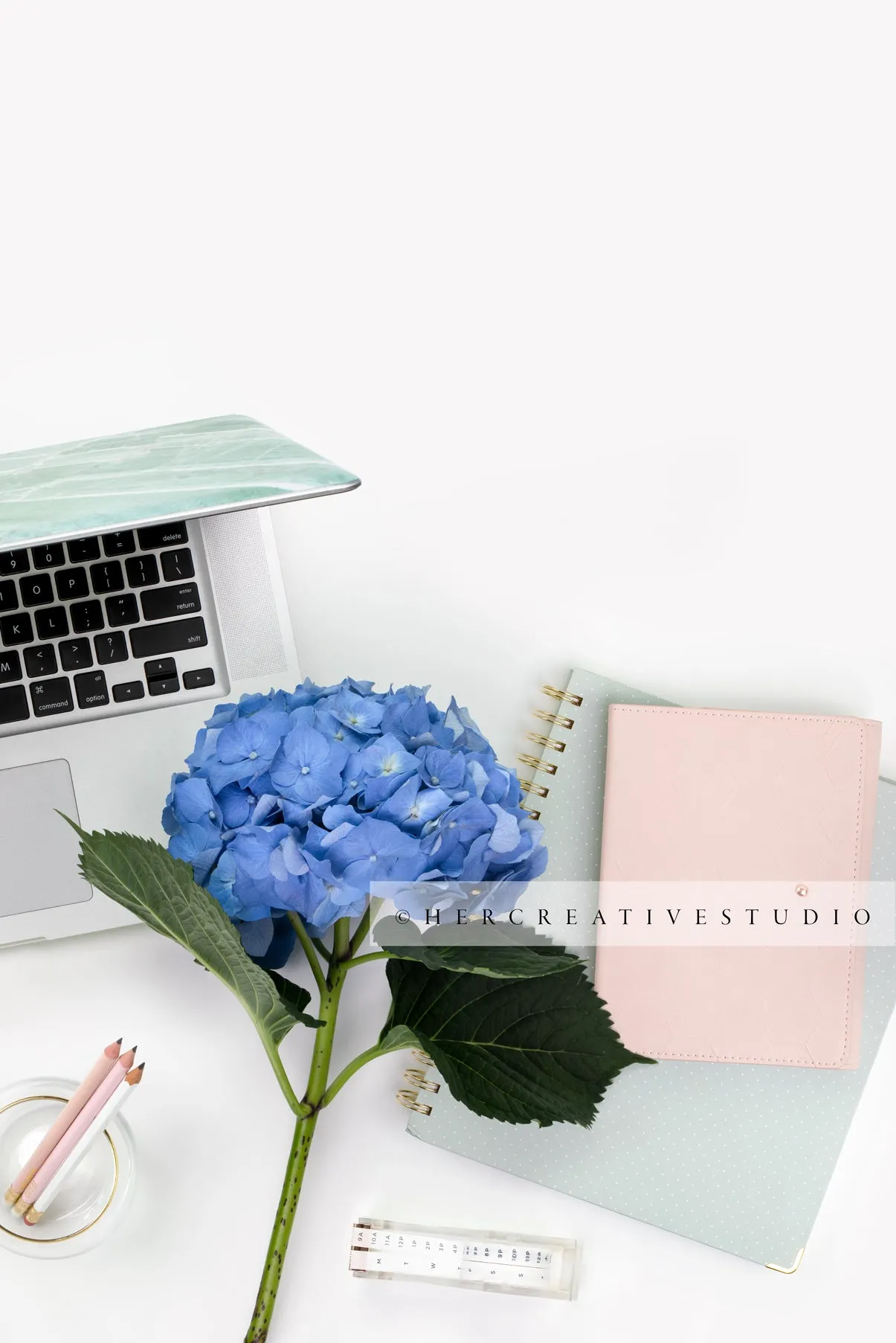 Blue Hydrangea and Laptop