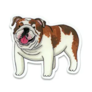 Cactus Club English Bulldog Sticker