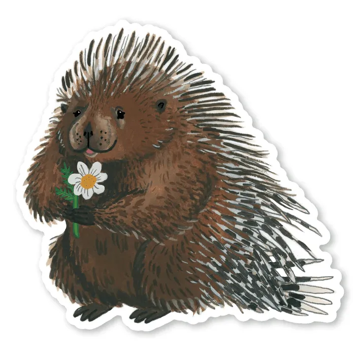 Cactus Club Porcupine Sticker