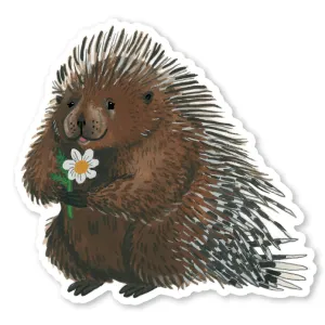 Cactus Club Porcupine Sticker