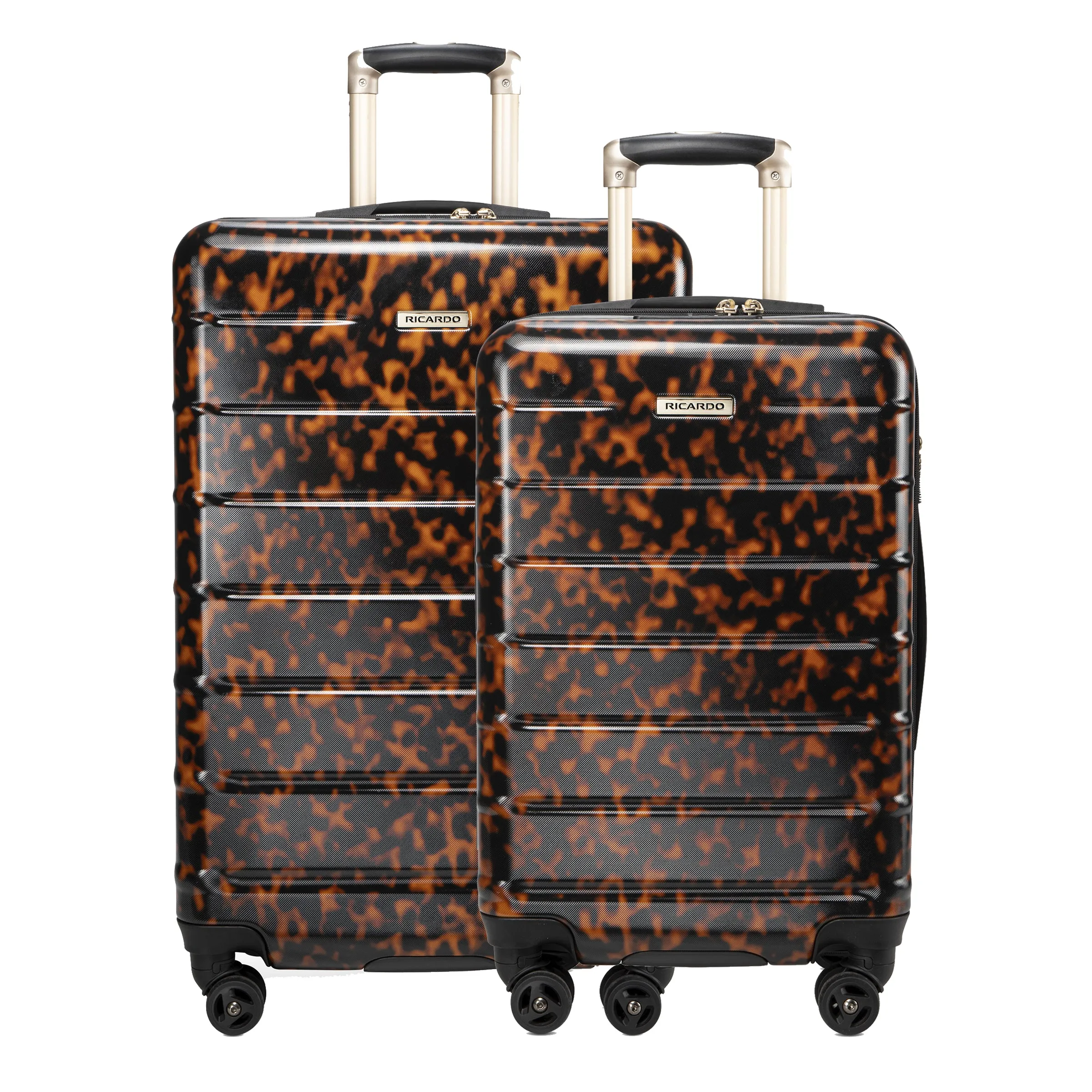 Cambria Hardside 2-Piece Set (20" Carry-on & 25" Medium Checked)