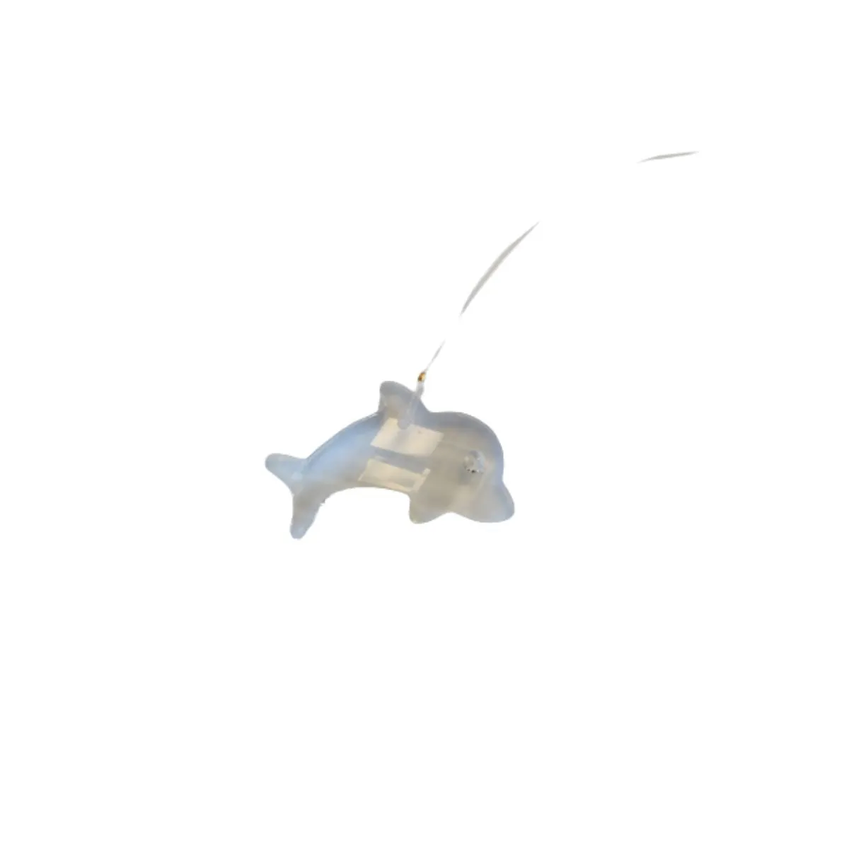 Crystal- Dolphin 43mm