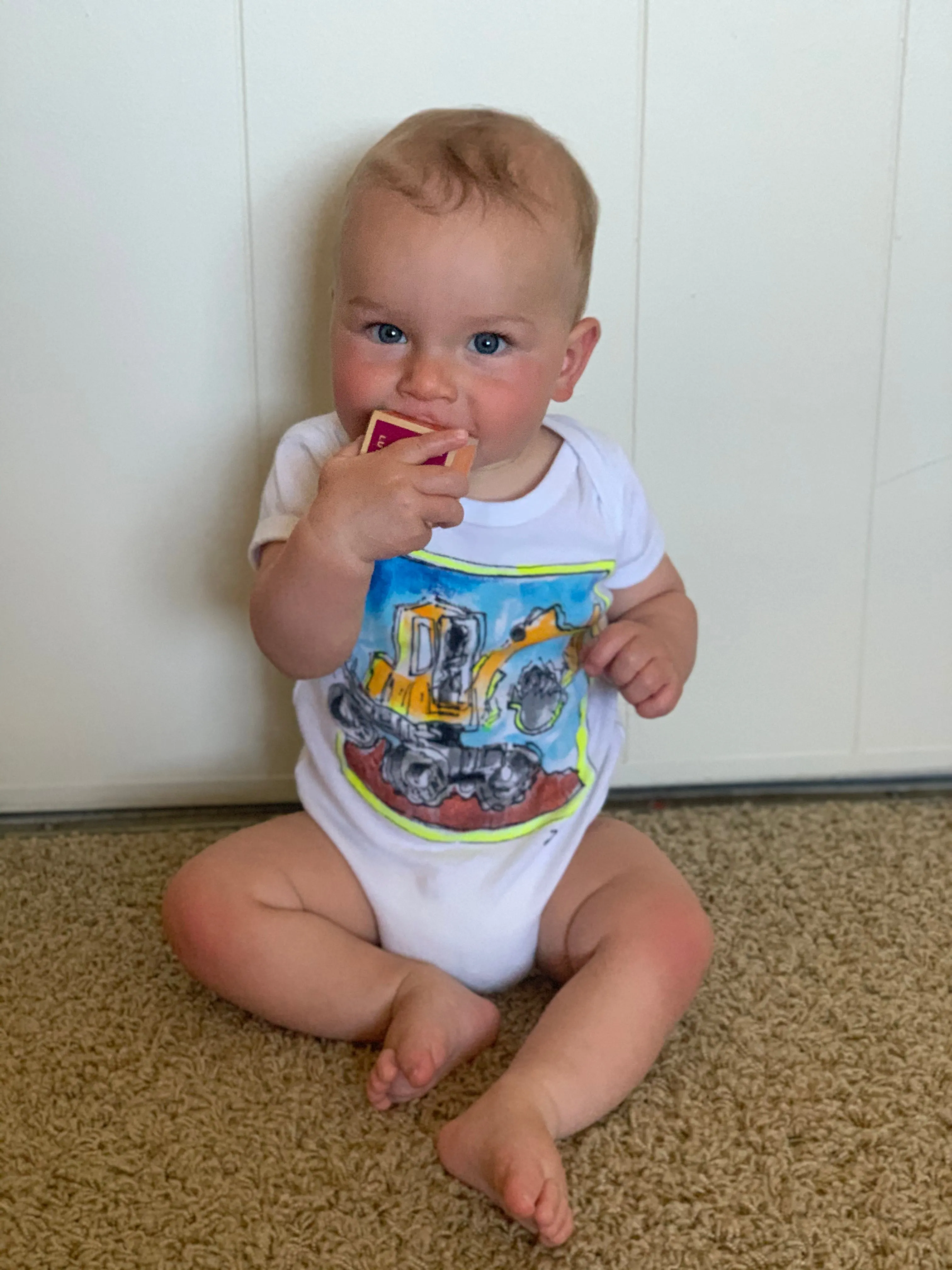 Custom T-shirt : Animals and more