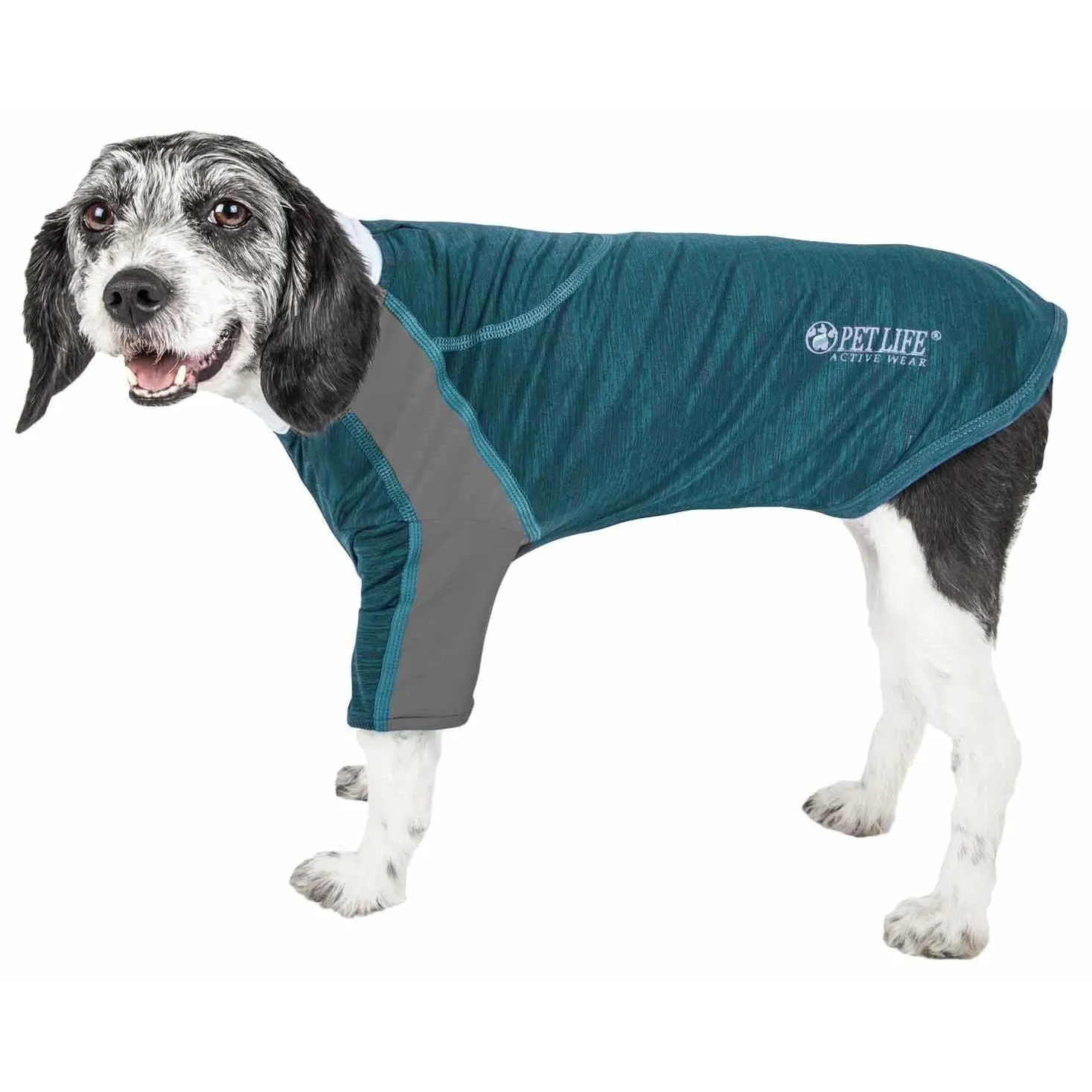 Dog Ventilated UV Protection T-Shirt Fashion