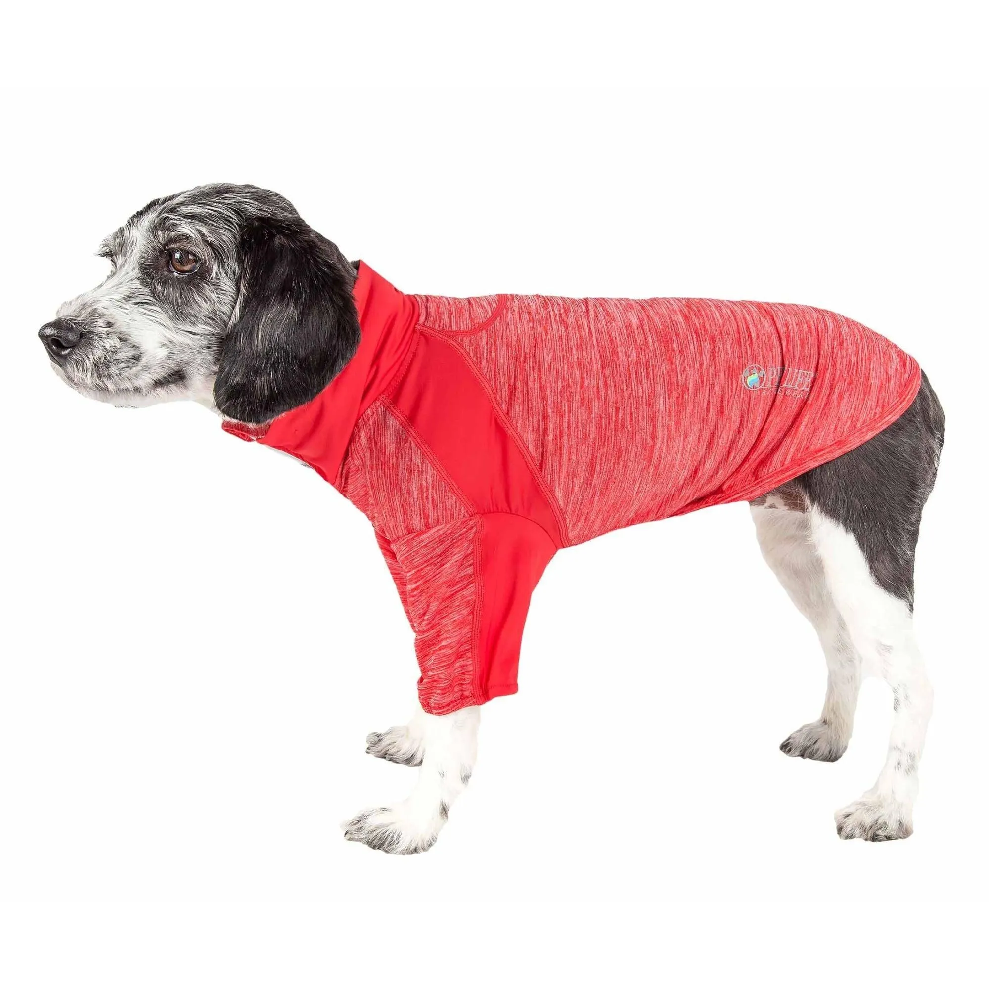 Dog Ventilated UV Protection T-Shirt Fashion