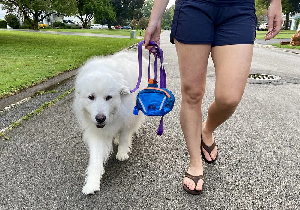 Double Doodie Bag
