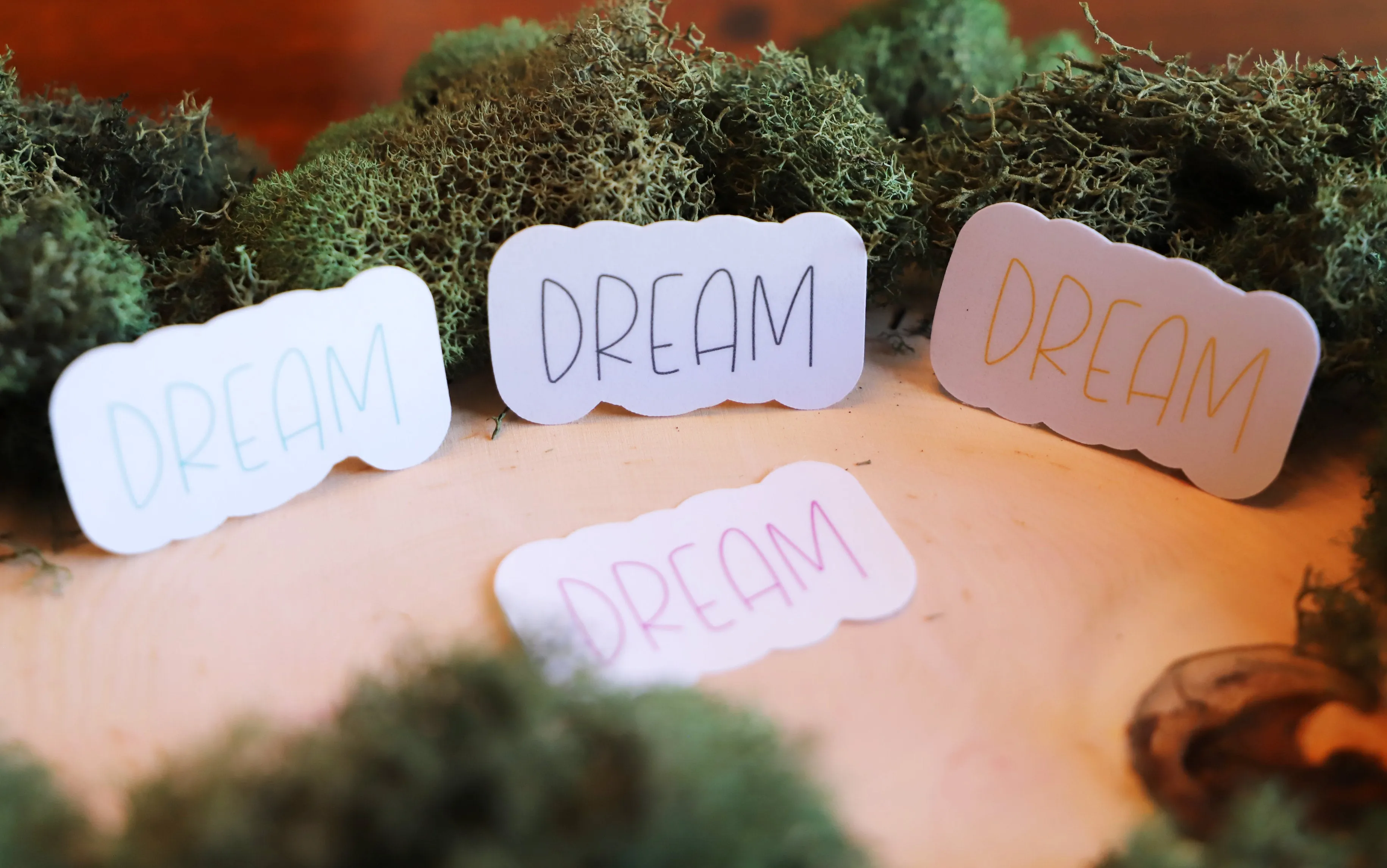 Dream Catcher sticker pack | 8pk