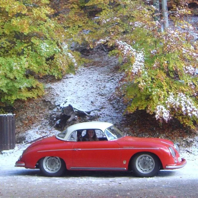 GP1 - Glasspar Primered 356 Speedster Hardtop Assembly