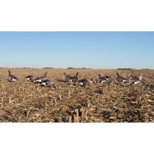 Greenhead Gear Pro Grade Specklebelly Goose Silo Decoys 12 Pack