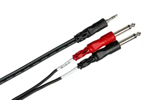 HOSA CMP-159 10' Stereo Breakout, 3.5 Mm TRS To Dual 1/4 In TS