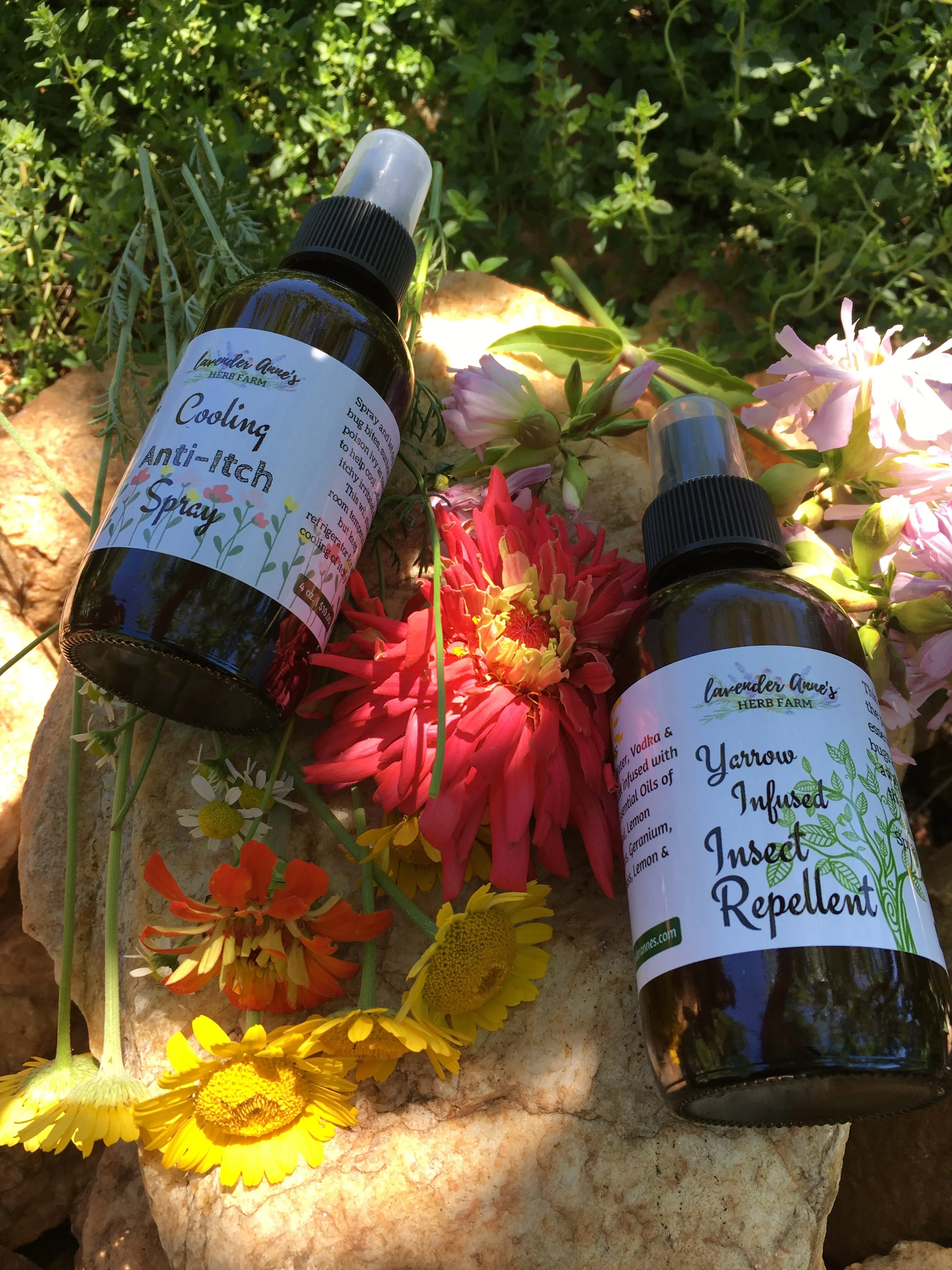 Insect Repellent