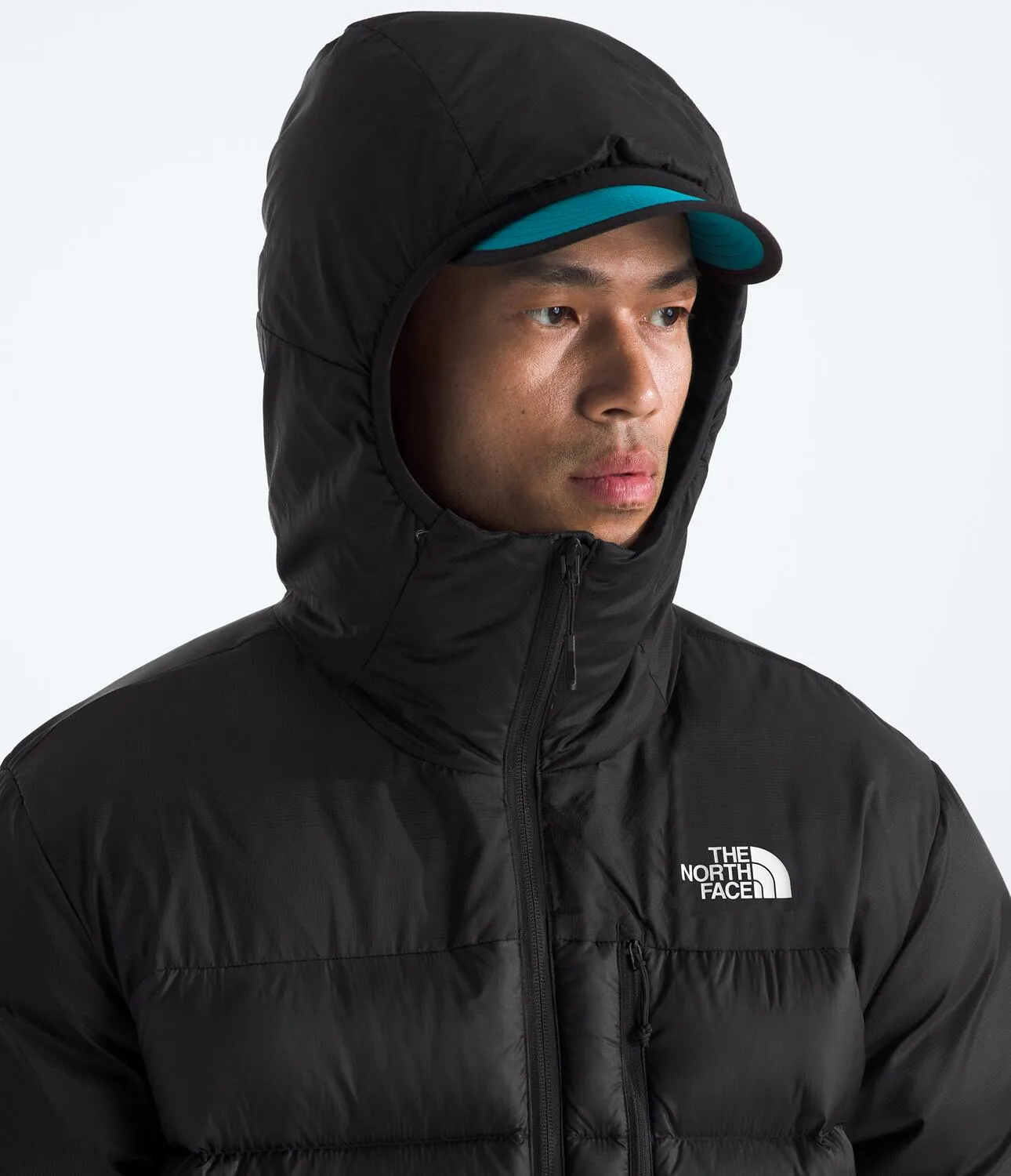 Kalix Down Hoodie (Men's) - NF0A88SK