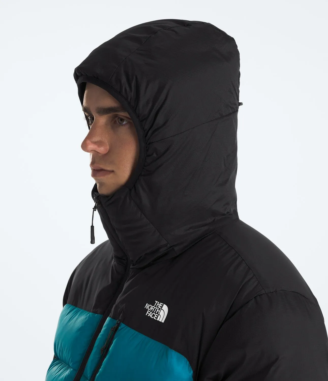 Kalix Down Hoodie (Men's) - NF0A88SK