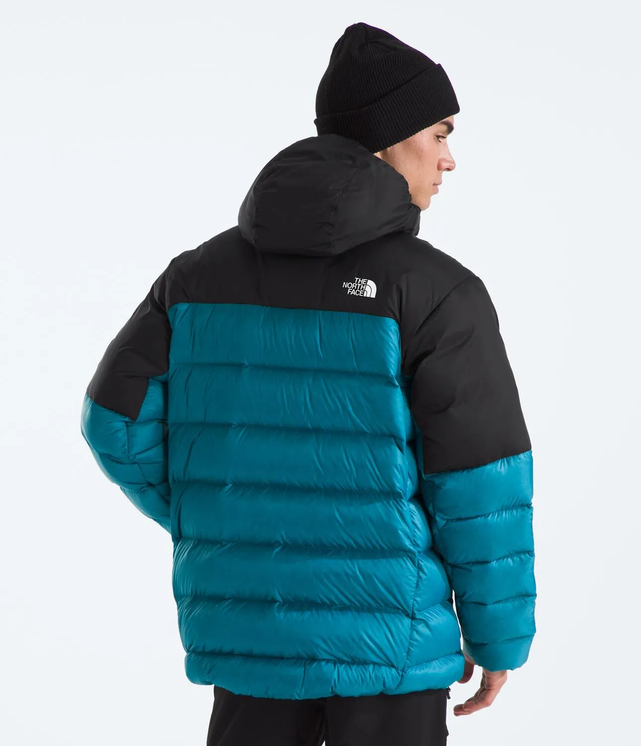 Kalix Down Hoodie (Men's) - NF0A88SK
