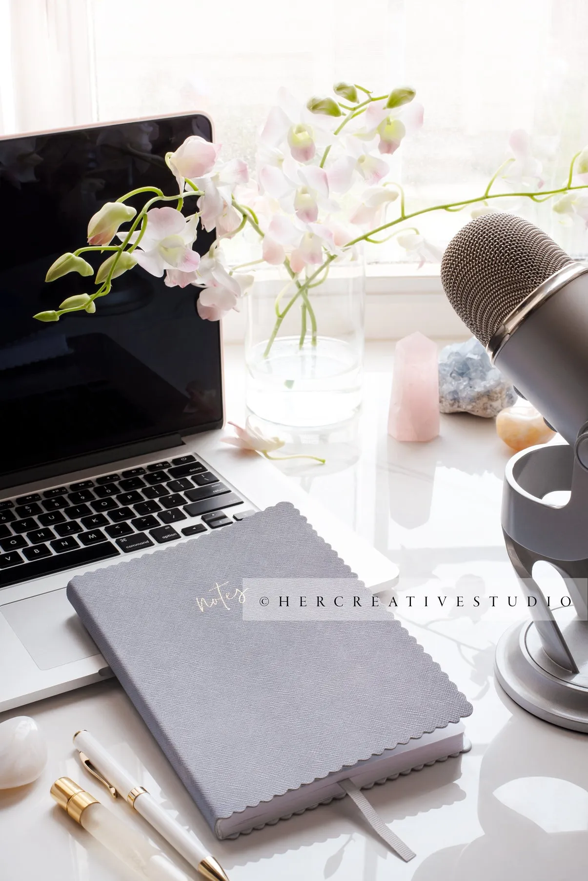 Laptop with Microphone
