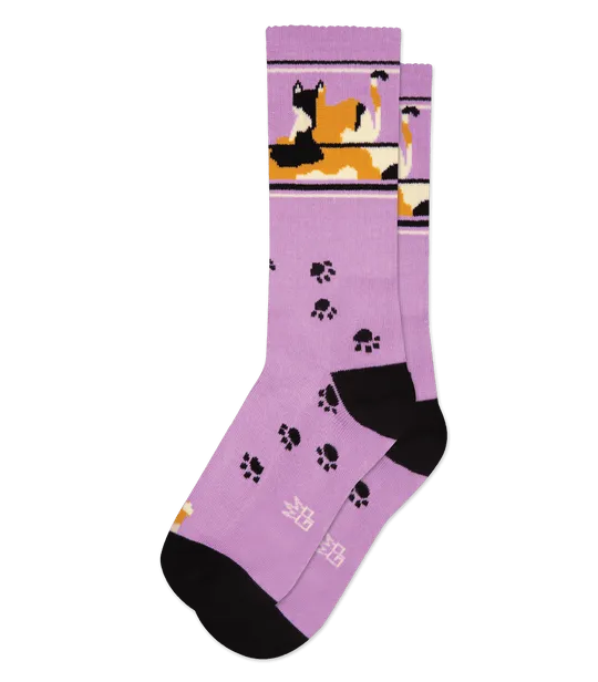Lounging Calico Cat