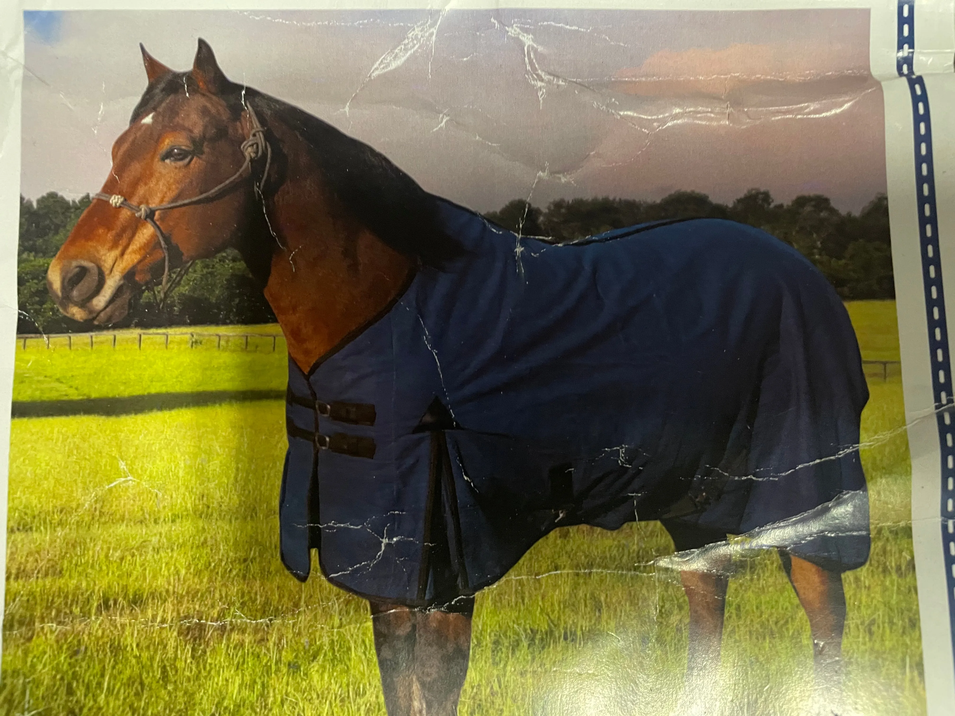 Mustang Canvas Turnout Blanket 74” (Black) - New