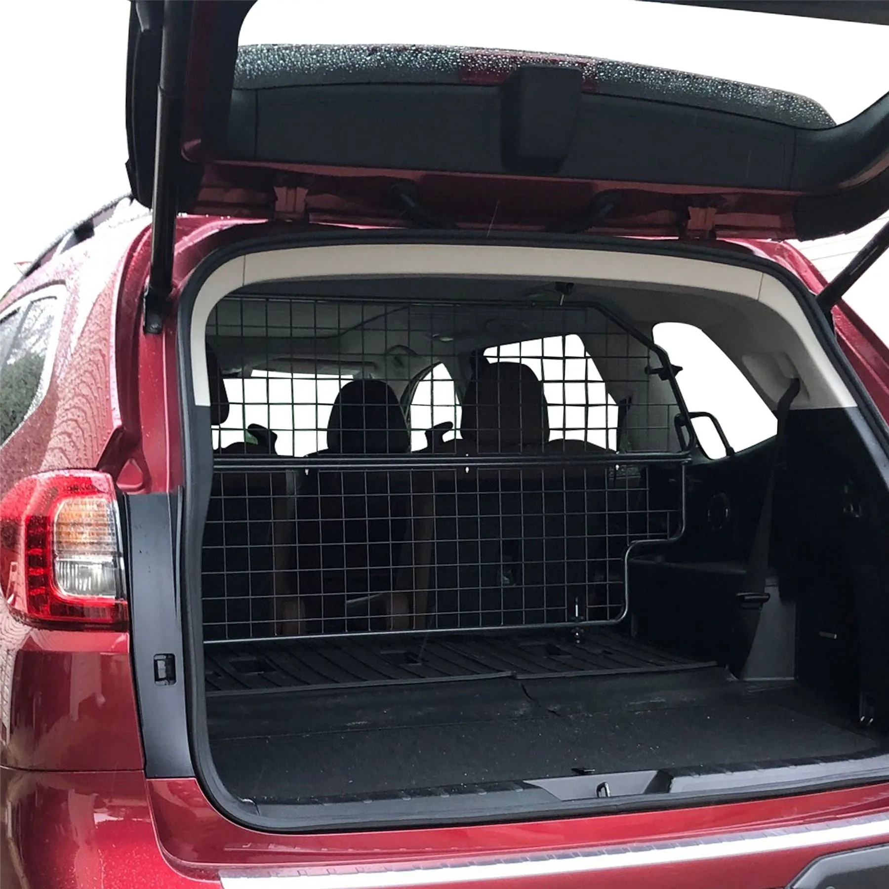 Subaru Ascent Dog Guard (2018-on)