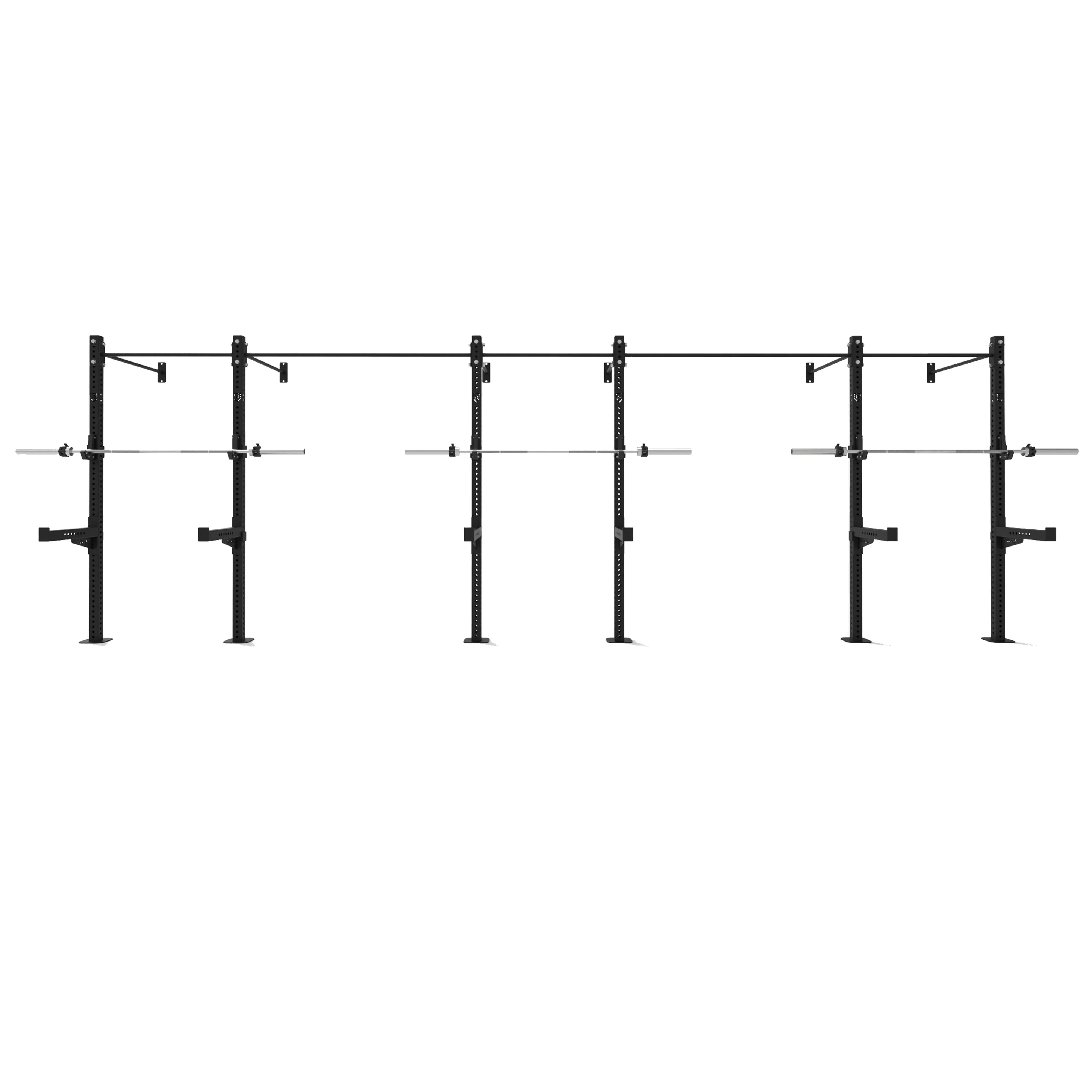 Three Bay Wall Mounted Rig