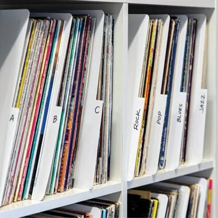 Vinyl Record Dividers - White