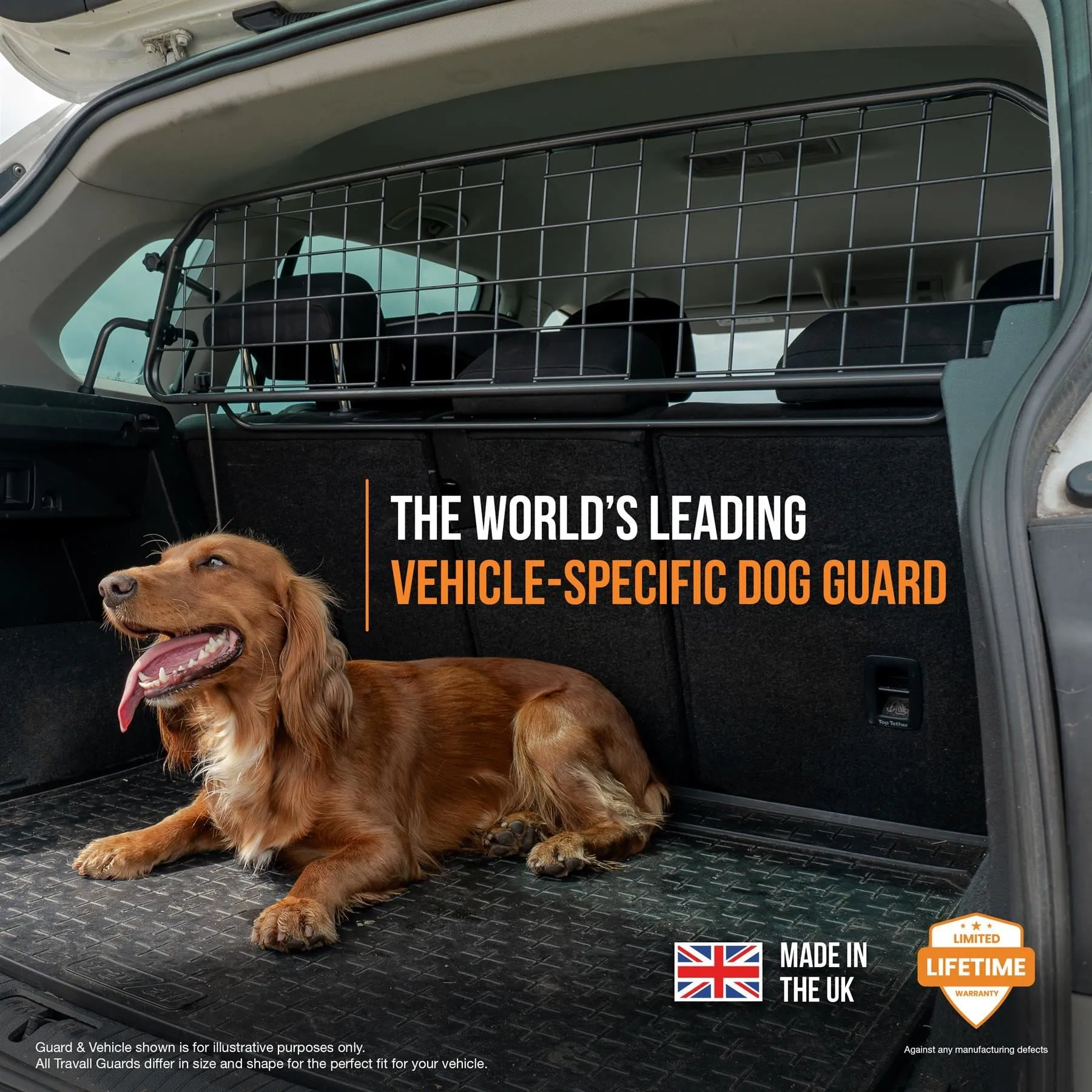 VW T-Roc Dog Guard and Divider Bundle (2017-on)