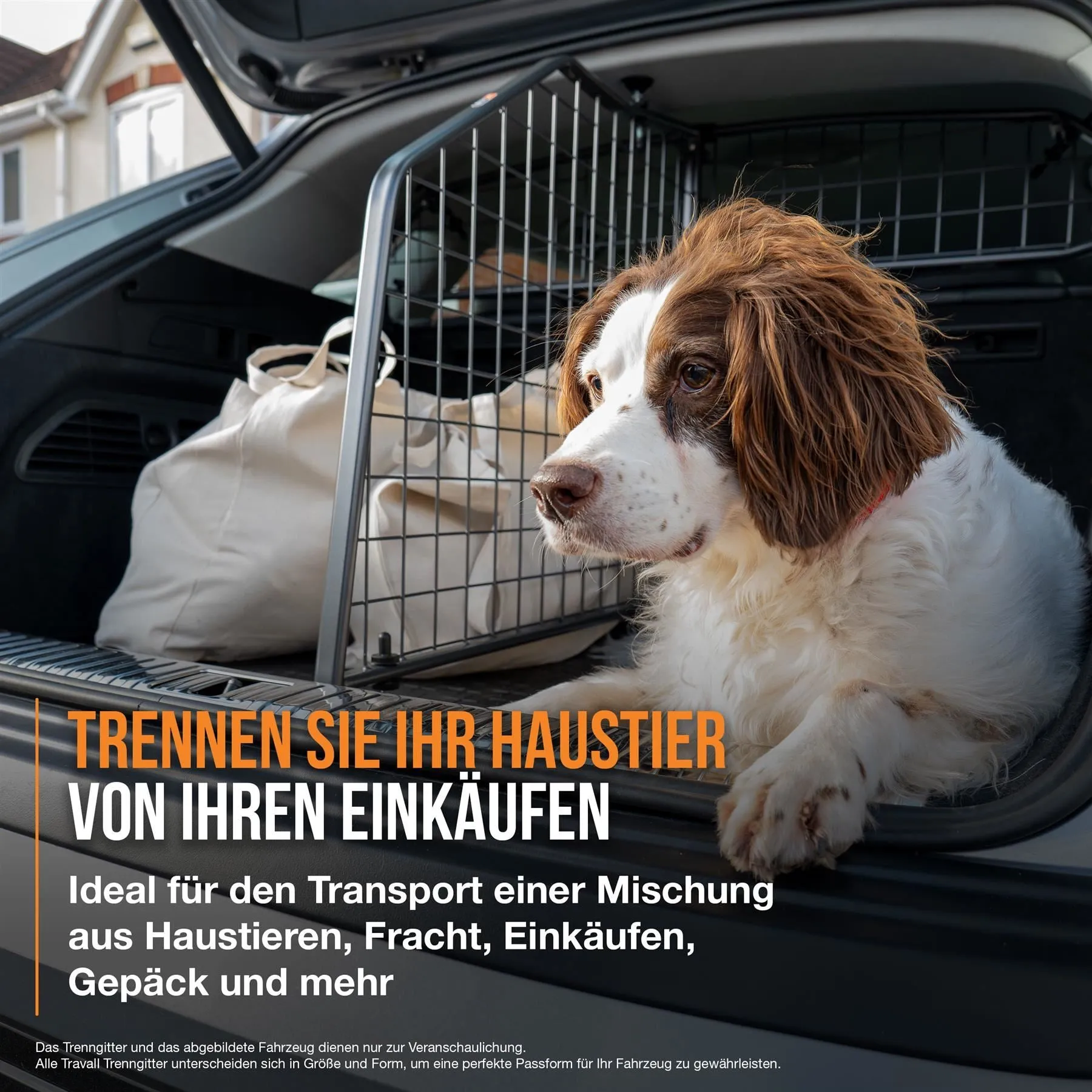 VW T-Roc Dog Guard and Divider Bundle (2017-on)