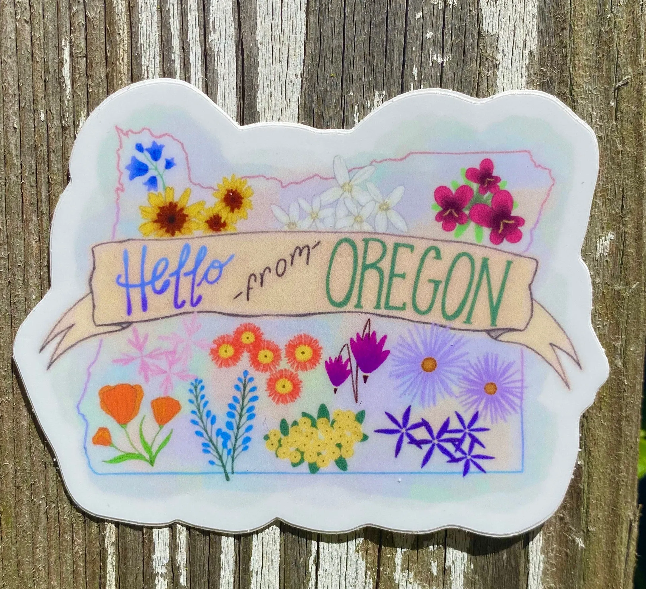 Wildflowers of Oregon Sticker