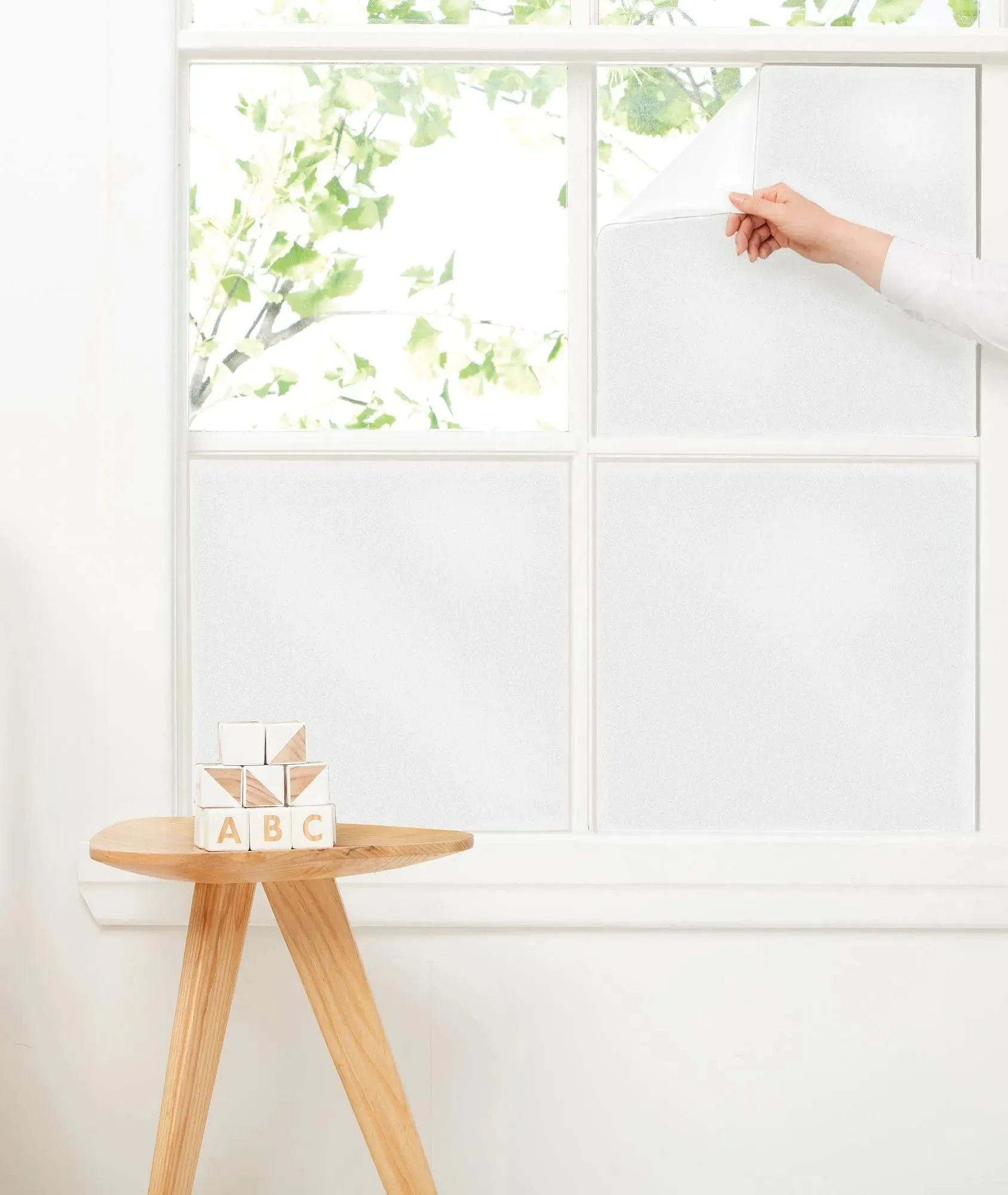 Window Blackout Blinds